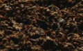 Thumbnail for version as of 19:37, 29 July 2015