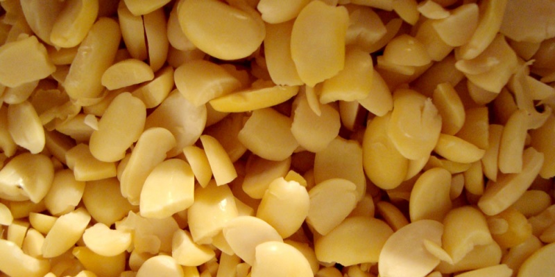 File:Soybean Cracked.jpg