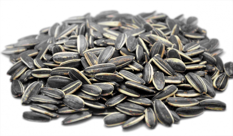 File:Sunflower Seed.jpg