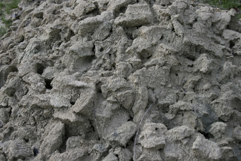 File:Marl Clay.jpg