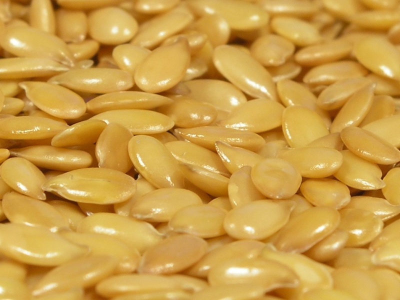 File:Flax seed.jpg