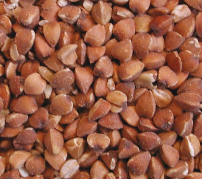 File:BuckWheat.jpg