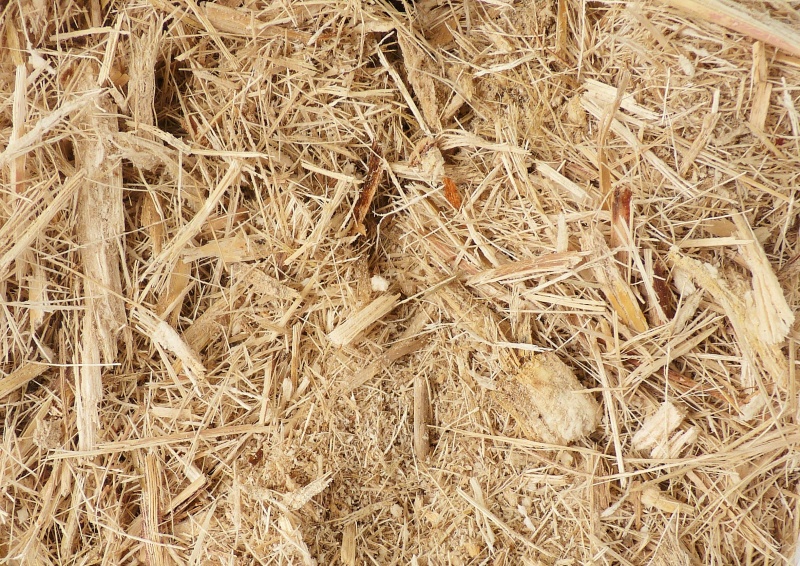 File:Bagasse.jpg