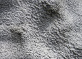 Thumbnail for version as of 16:46, 25 June 2015