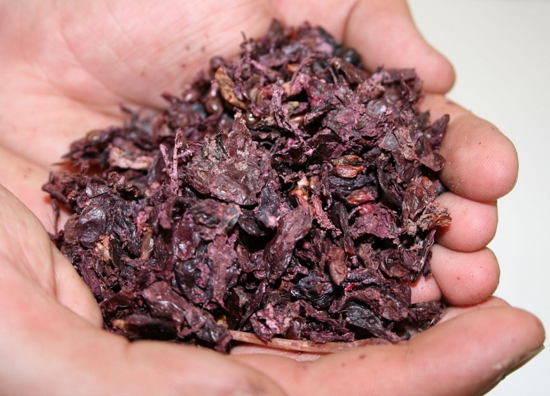 File:Grape Pomace.jpg