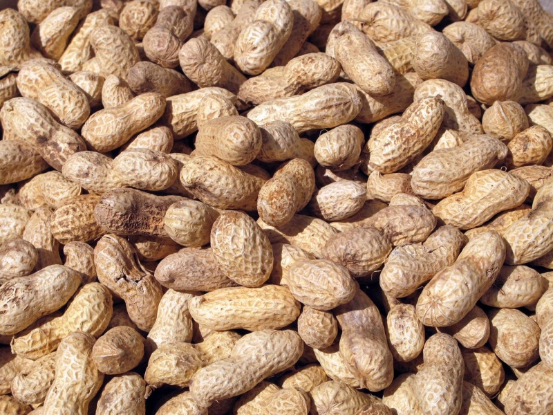 File:Peanuts Unshelled.jpg