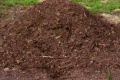Compost.jpg
